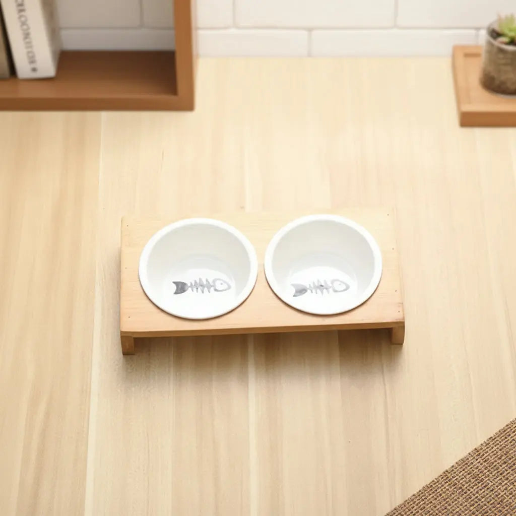 Bols haute tendance pour chat, vue d'ensemble