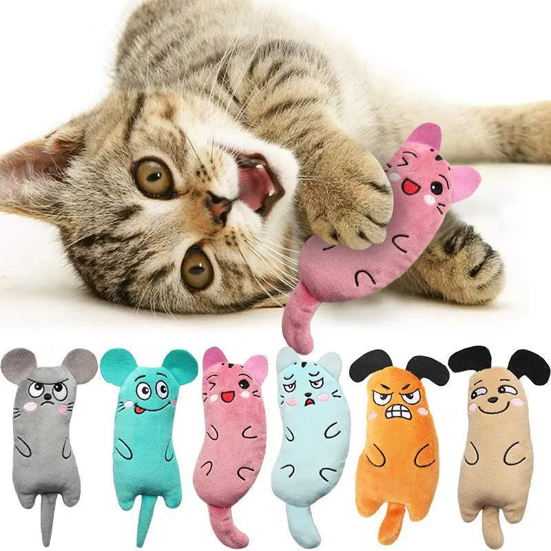 Jouet en Peluche Brodé pour Chat - Stimule le Jeu et l’Instinct CJ