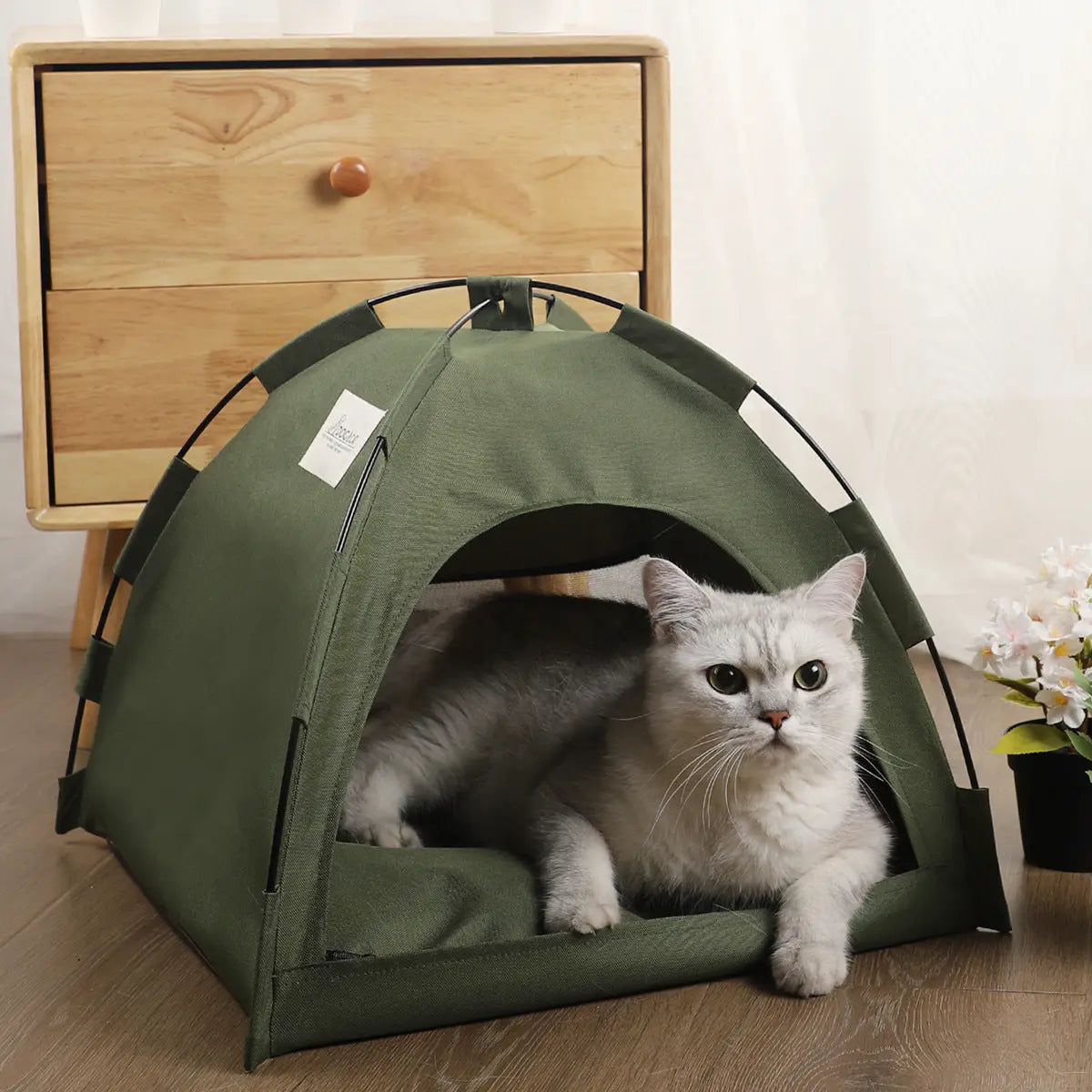 Tente Rafraîchissante pour Chats avec Coussin CJ