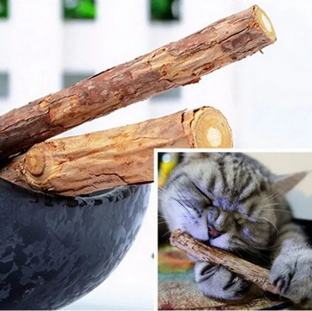 Bâtonnets Matatabi pour chat – Nettoyage des dents et santé bucco-dentaire CJ