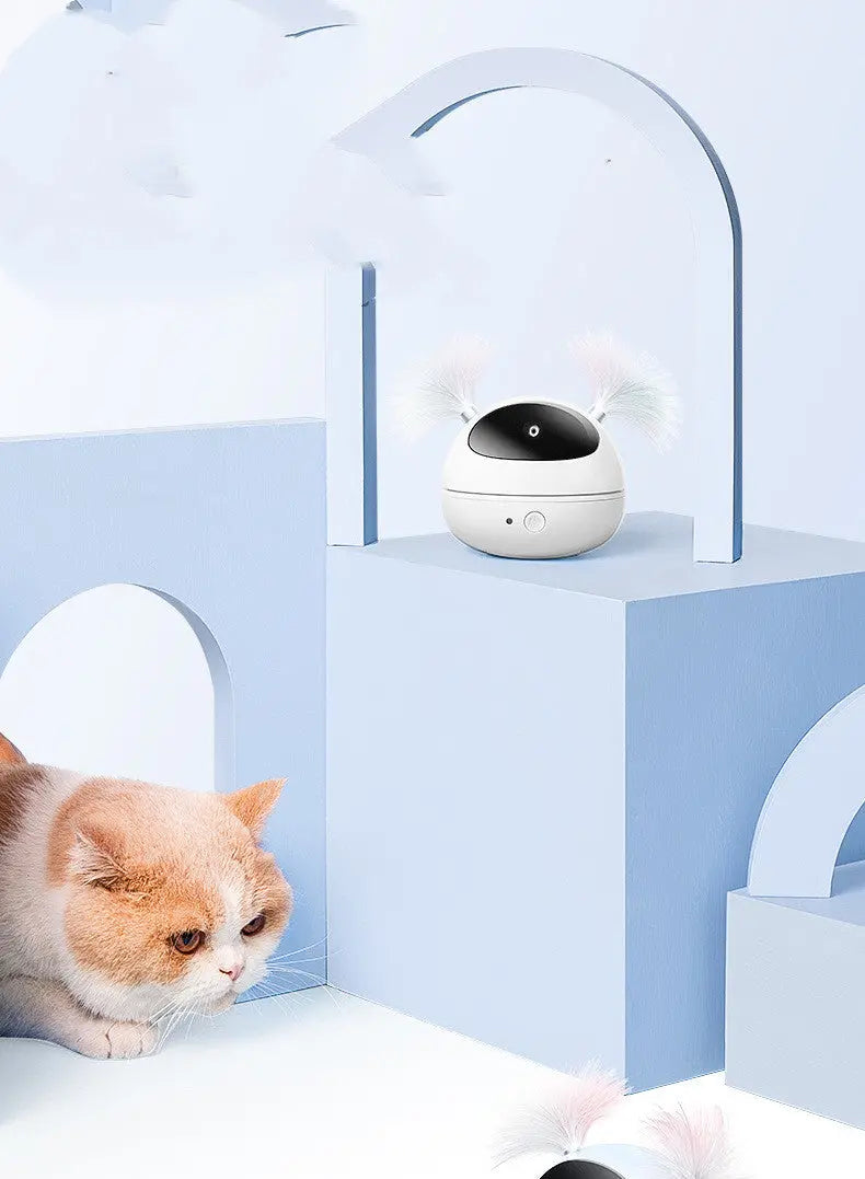 Le Jouet Magique pour Chats Actifs – Électrique et Automatique CJ