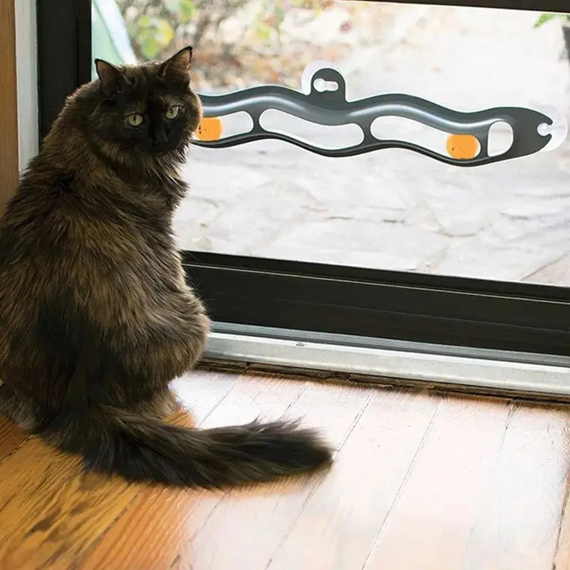 Balle de jeu pour chat à fixer sur rebord de fenêtre, vue d'ensemble