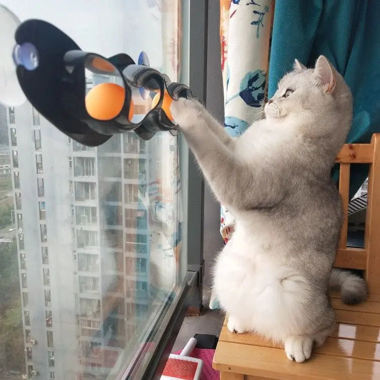 Balle de jeu pour chat, chat en train de jouer