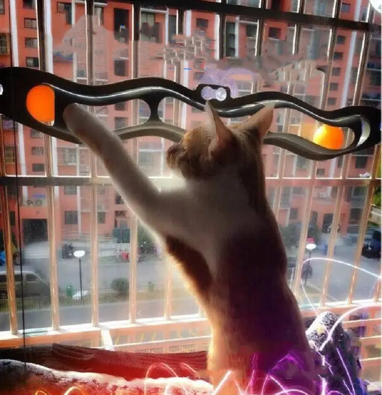 Balle de jeu pour chat, installée sur rebord de fenêtre