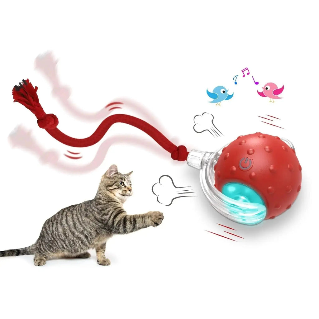 Balle interactive pour chat, packaging